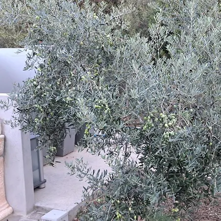 Casa Terra Del Sole بولا